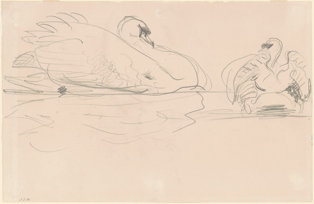 Hattyúk a vízben alkotó: John Singer Sargent