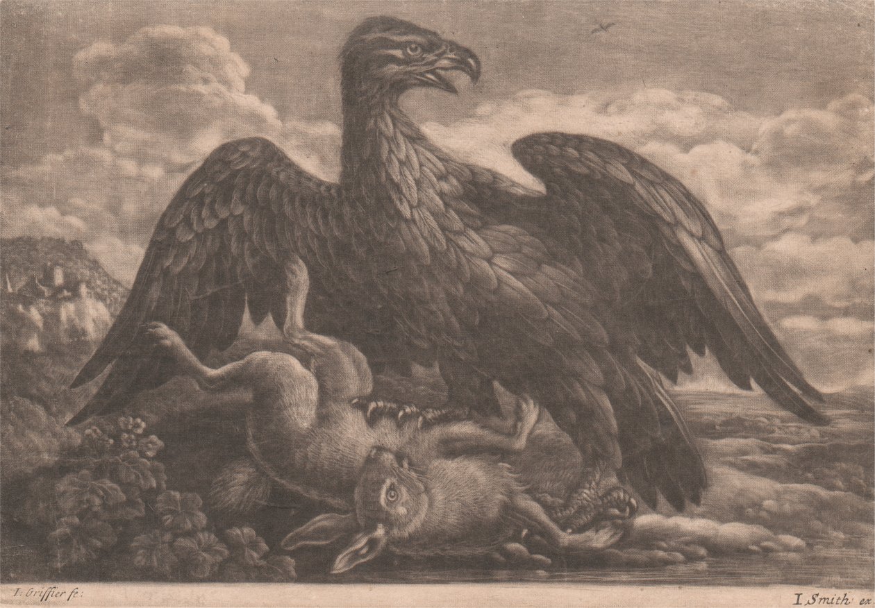 Eagle és Hare alkotó: John Smith