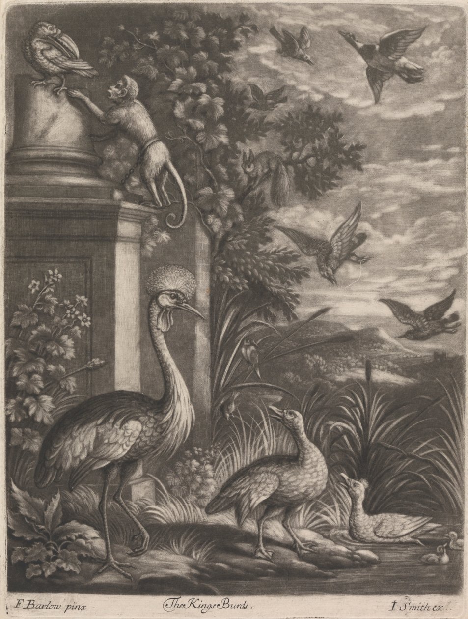 A Kings Birds alkotó: John Smith