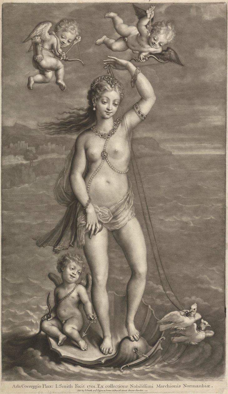 Galatea diadala alkotó: John Smith