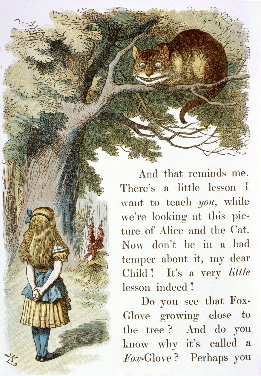 A Cheshire macska alkotó: John Tenniel
