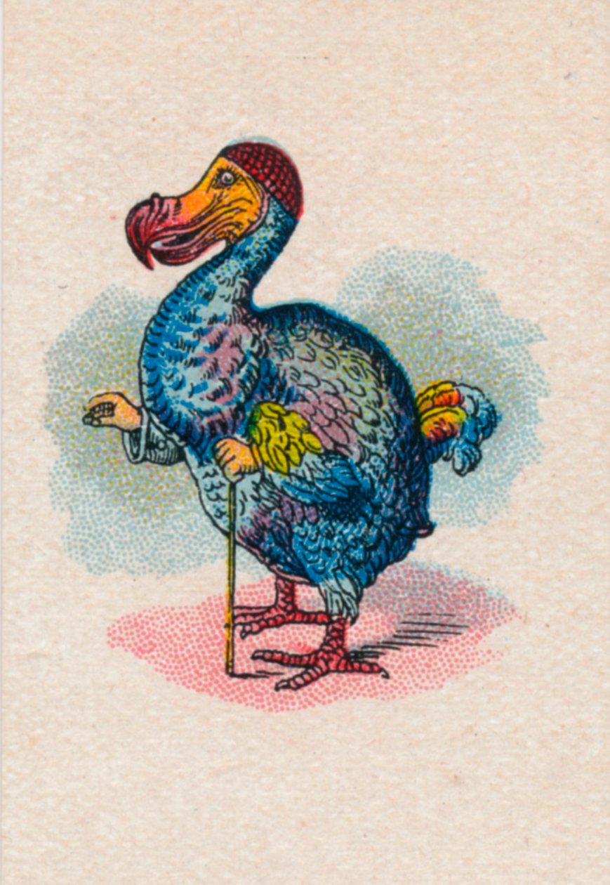 A Dodo, 1930 alkotó: John Tenniel