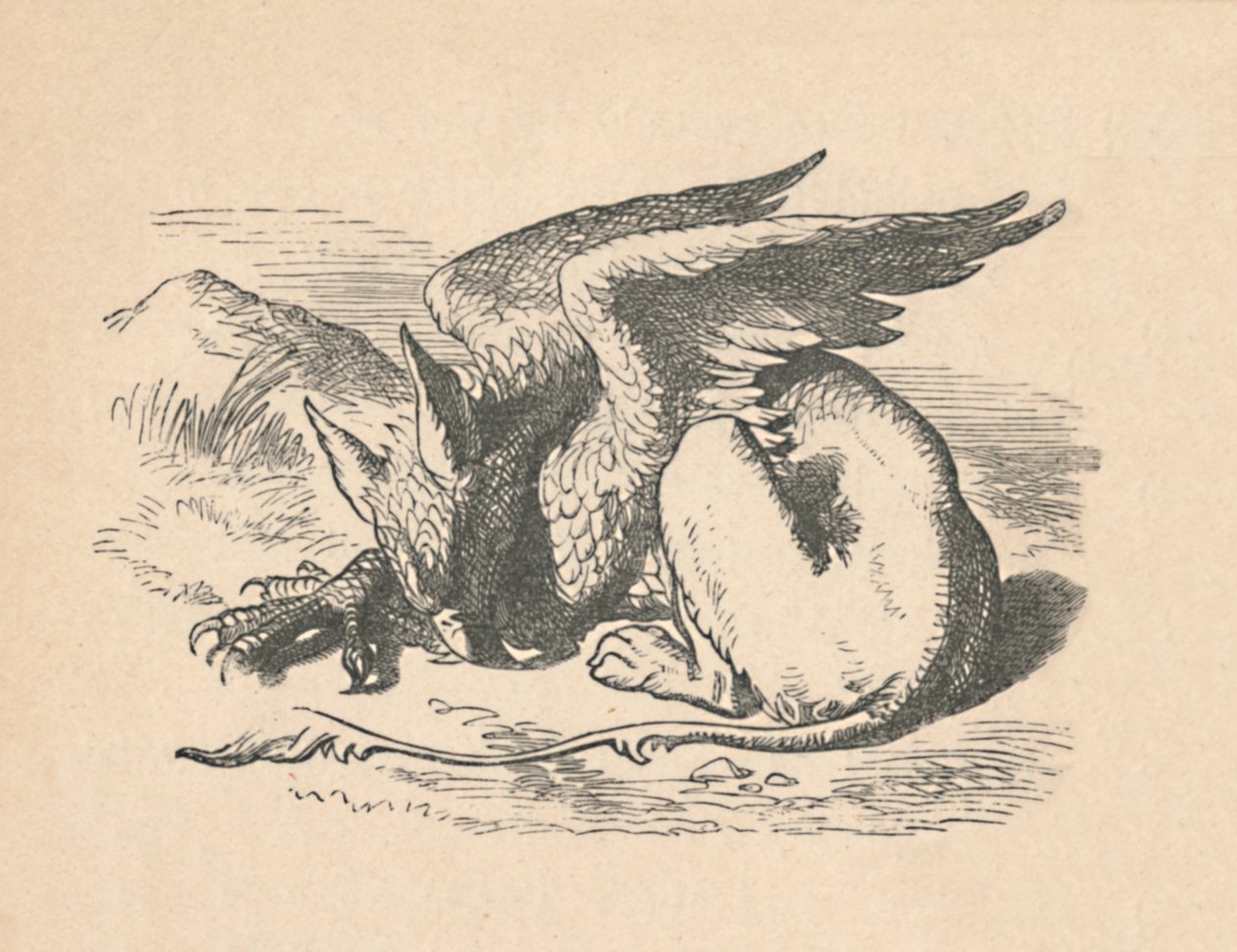 A Griphon a napon alszik, 1889 alkotó: John Tenniel