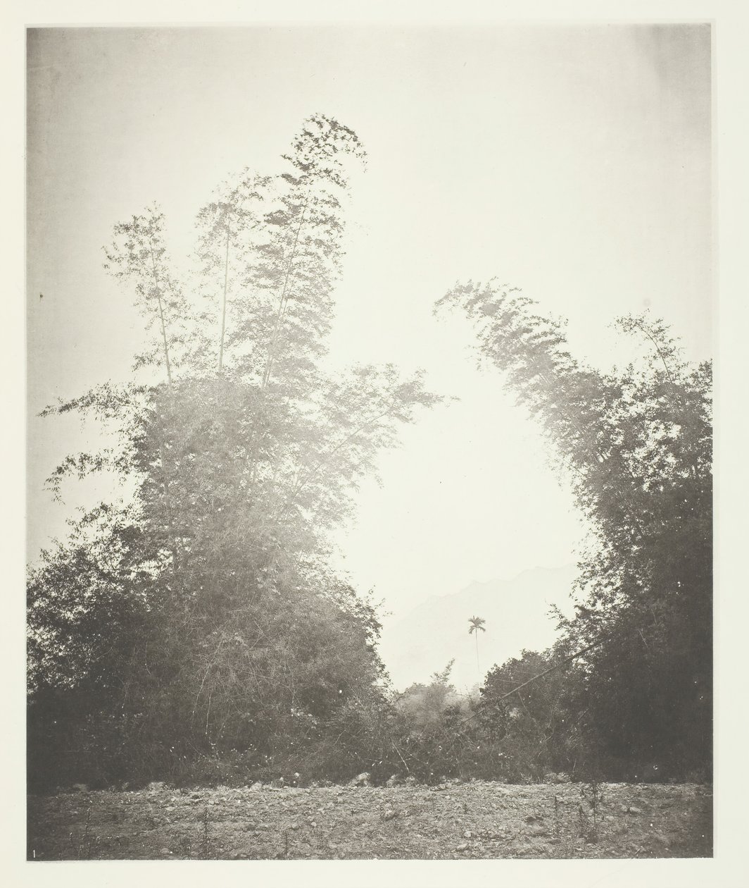 Bambusz és Baksa, Formosa, c. 1868. alkotó: John Thomson