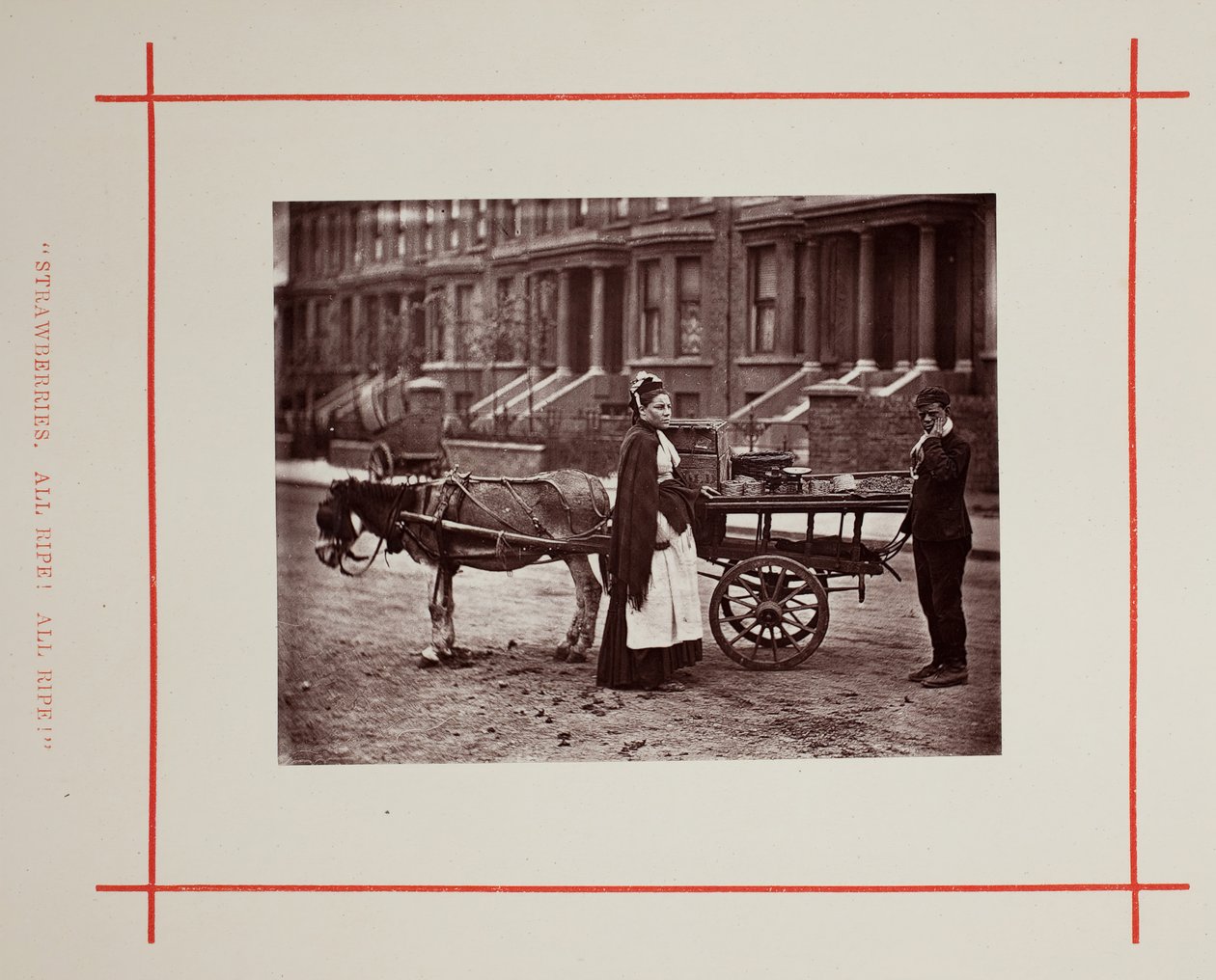 Eper. Minden érett! Teljesen érett!, 1877. alkotó: John Thomson