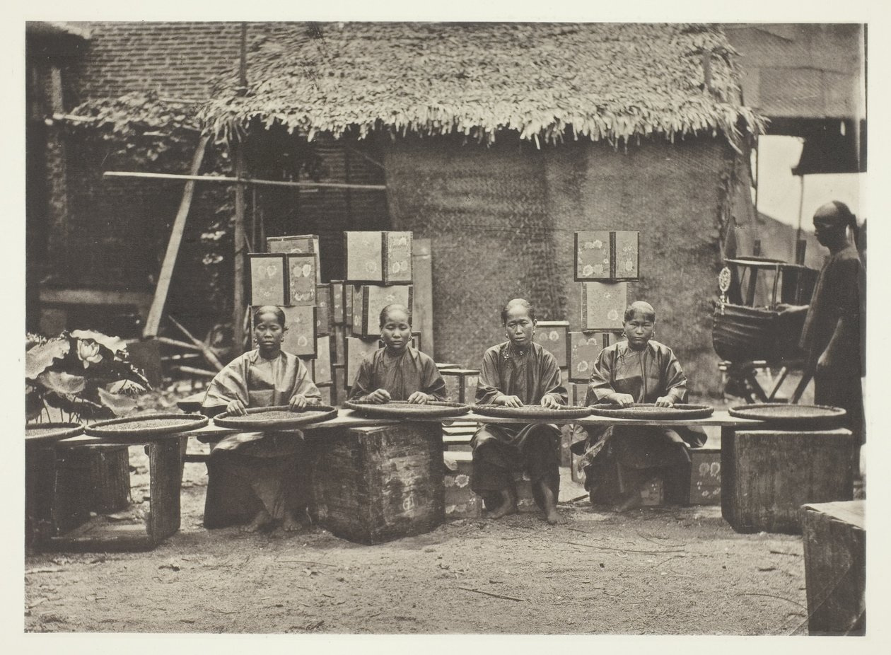 Teaszedés Kantonban alkotó: John Thomson