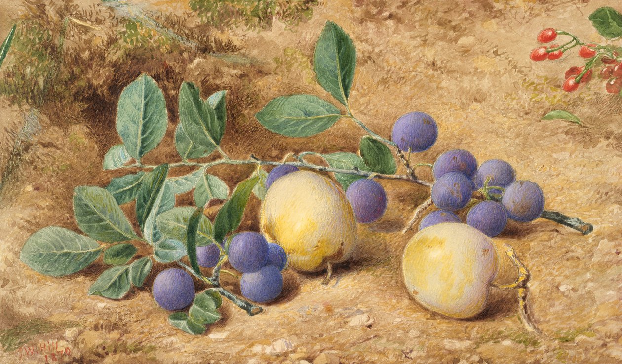 Szilva, 1870. alkotó: John William Hill