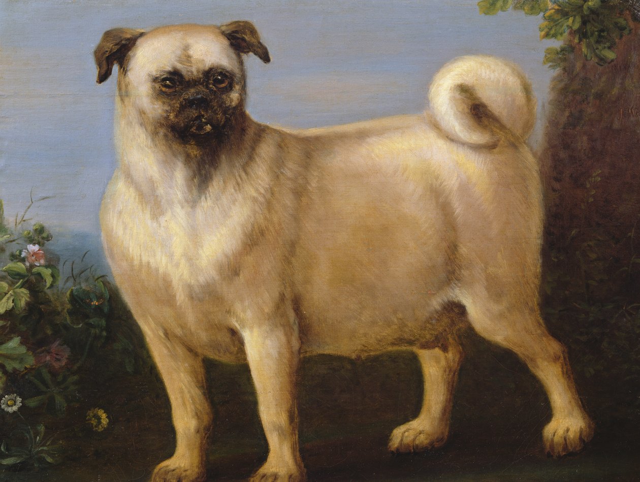 Egy mopsz a tájban alkotó: John Wootton