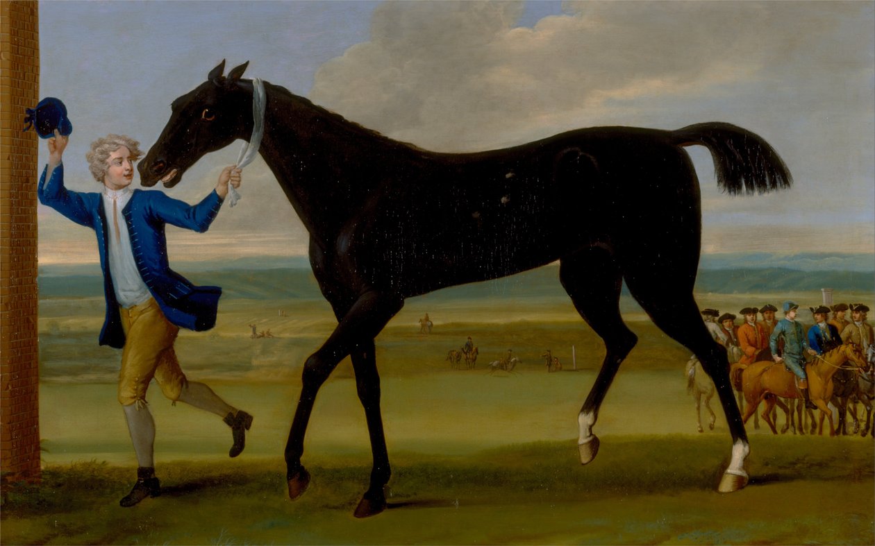 Rutland hercegének Bonny Blackje alkotó: John Wootton
