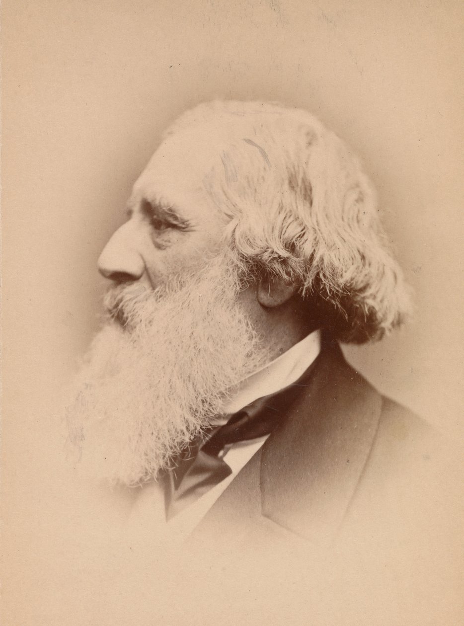 [John Frederick Lewis], 1860-as évek. alkotó: John and Charles Watkins