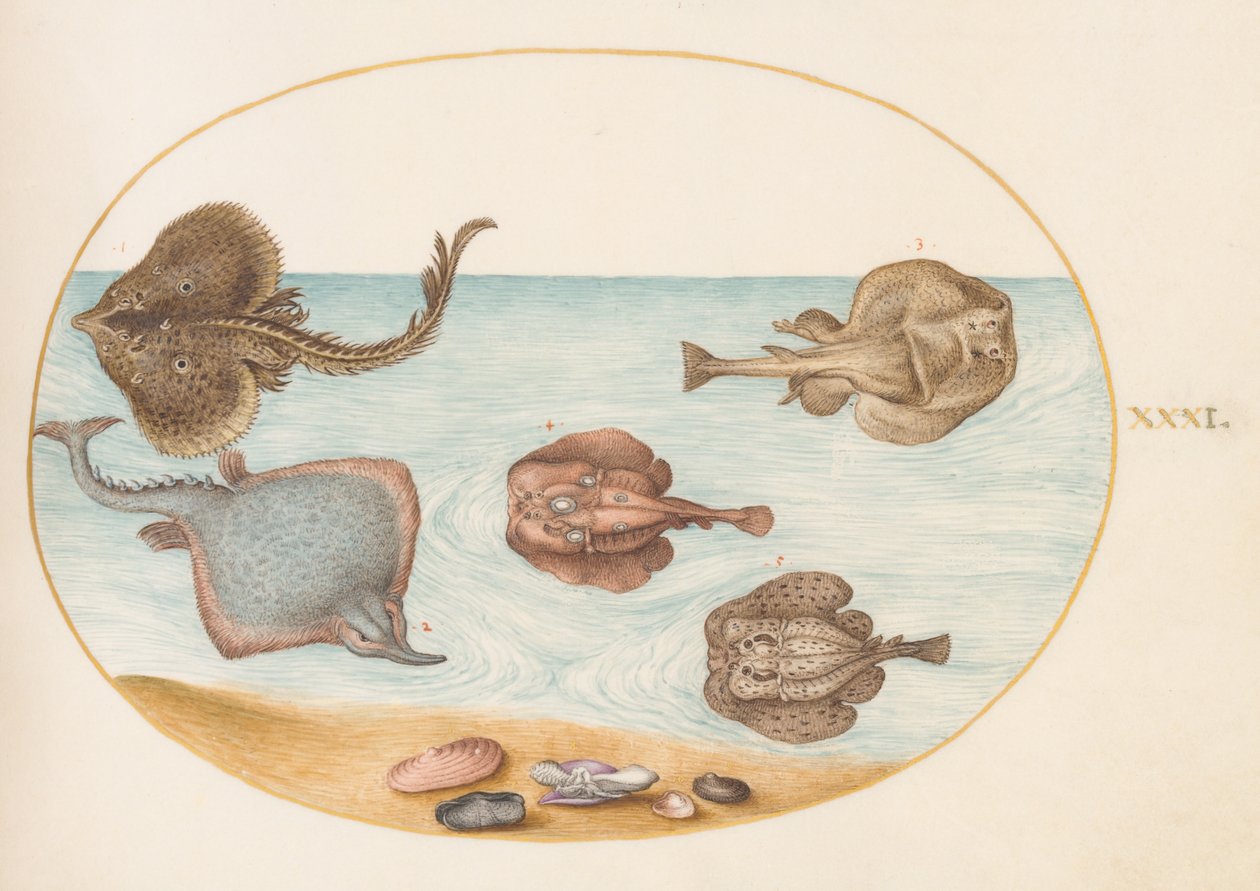 Hal, 1575-80 körül alkotó: Joris Hoefnagel