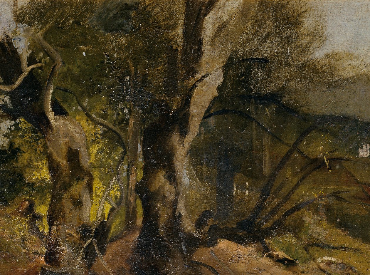 Waldstudie alkotó: Josef Navrátil
