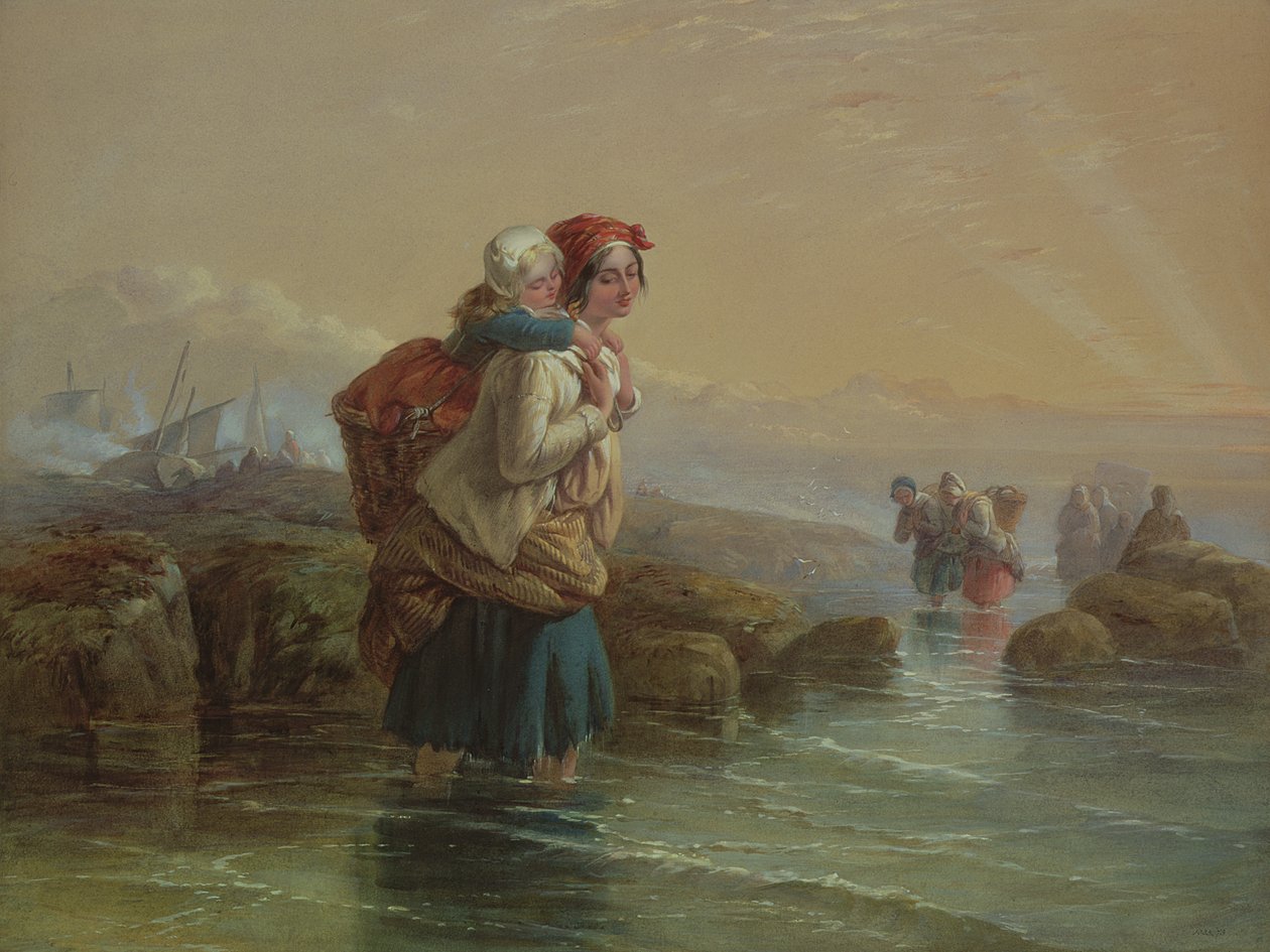 Garnélarák, 19. század alkotó: Joseph John Jenkins