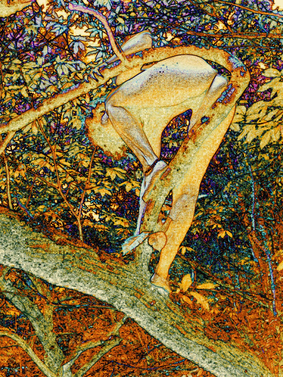 A fában alkotó: Joseph Angilella Auquier
