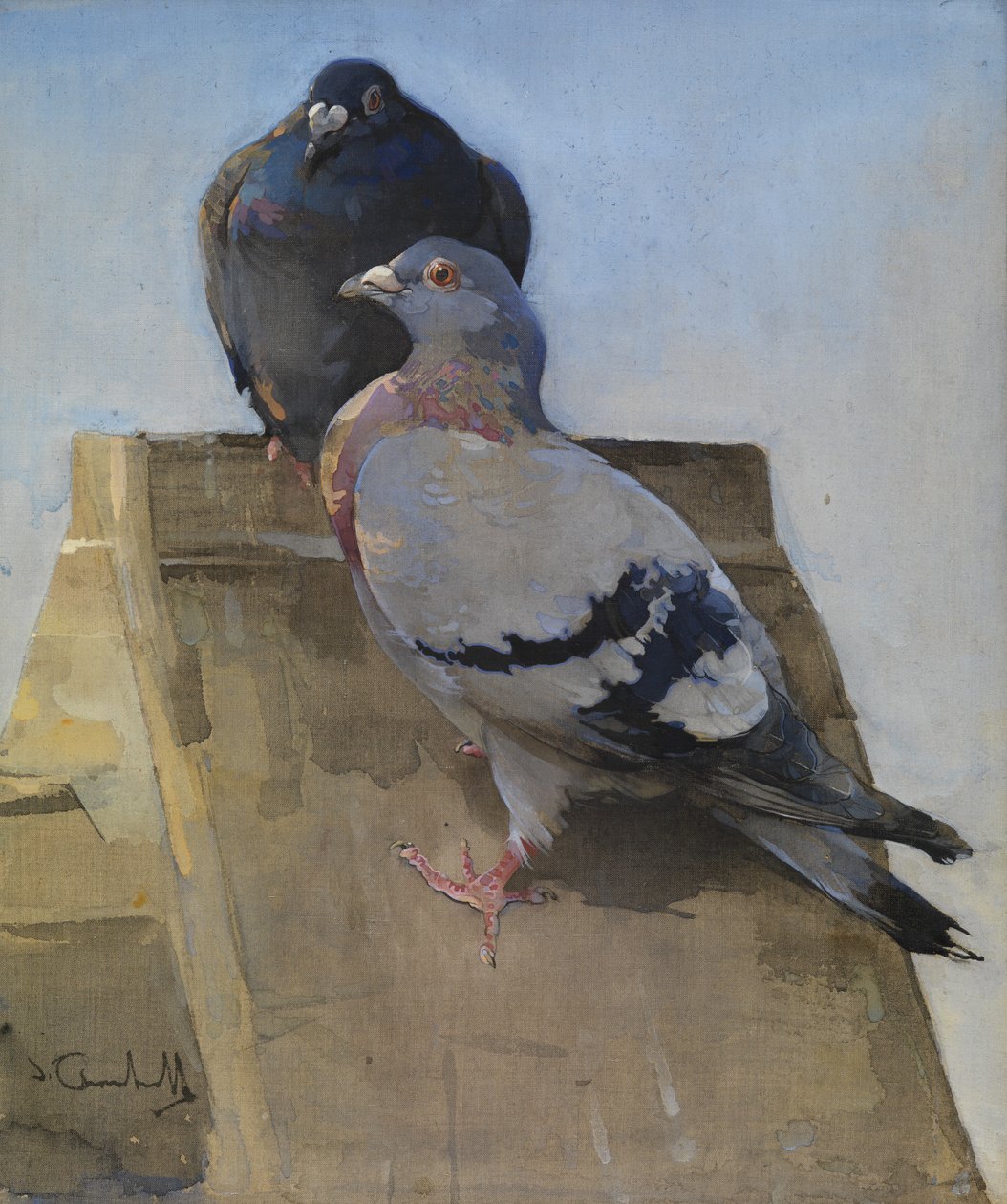 Galambok a tetőn (gouache lenvászon) alkotó: Joseph Crawhall