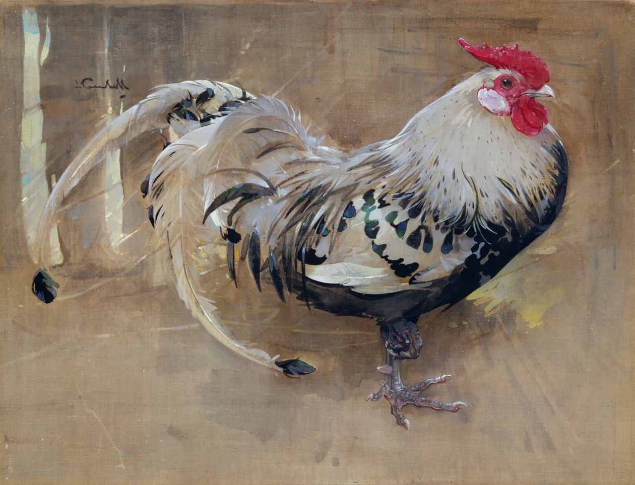 The Spangled Cock alkotó: Joseph Crawhall
