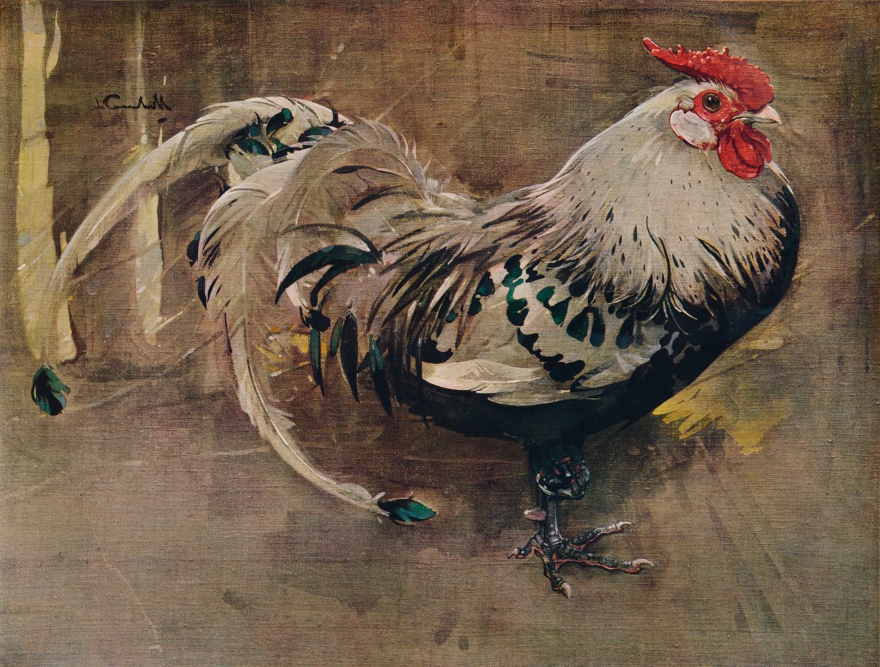 The Spangled Cock, 1903-1935 alkotó: Joseph Crawhall