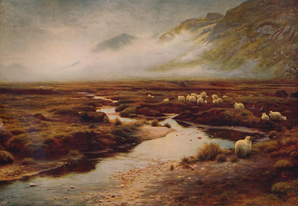 The Moss at Poolewe, 1913, c1915 alkotó: Joseph Farquharson