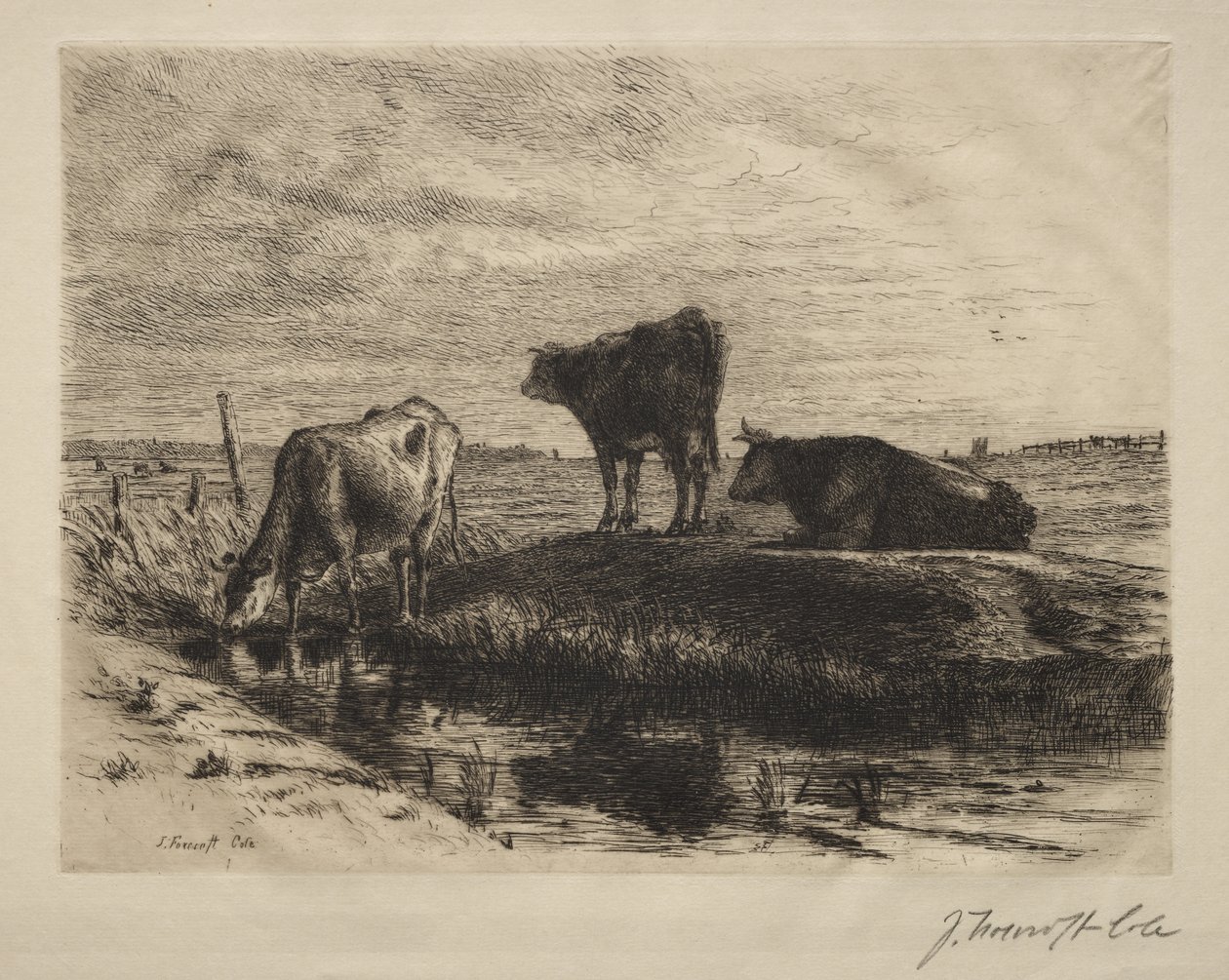A három tehén. alkotó: Joseph Foxcroft Cole