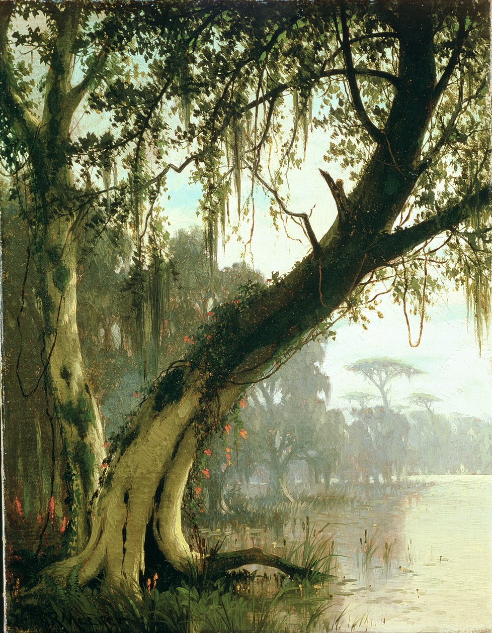 A Bayouban alkotó: Joseph Rusling Meeker
