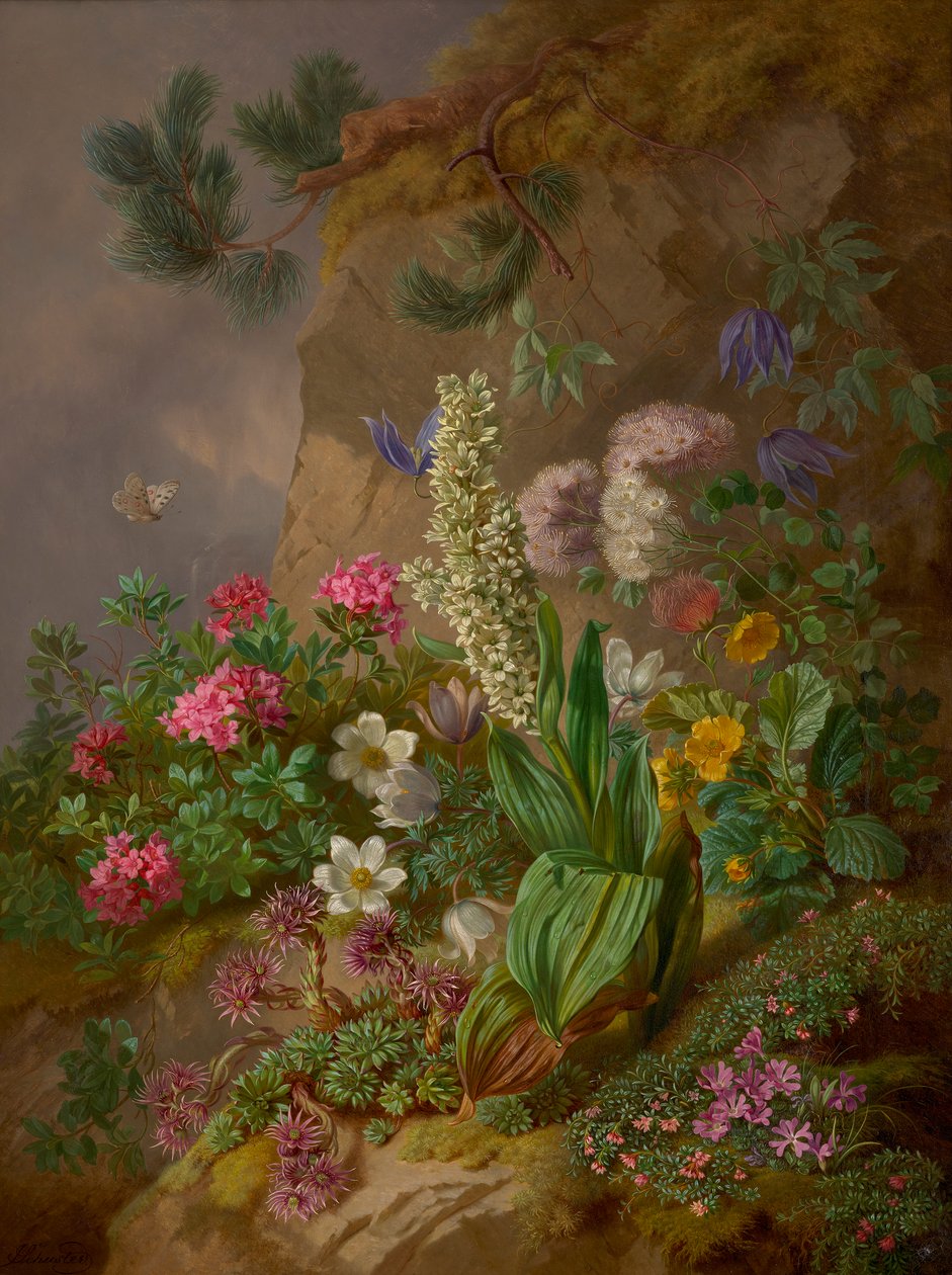 Alpenblumen alkotó: Joseph Schuster