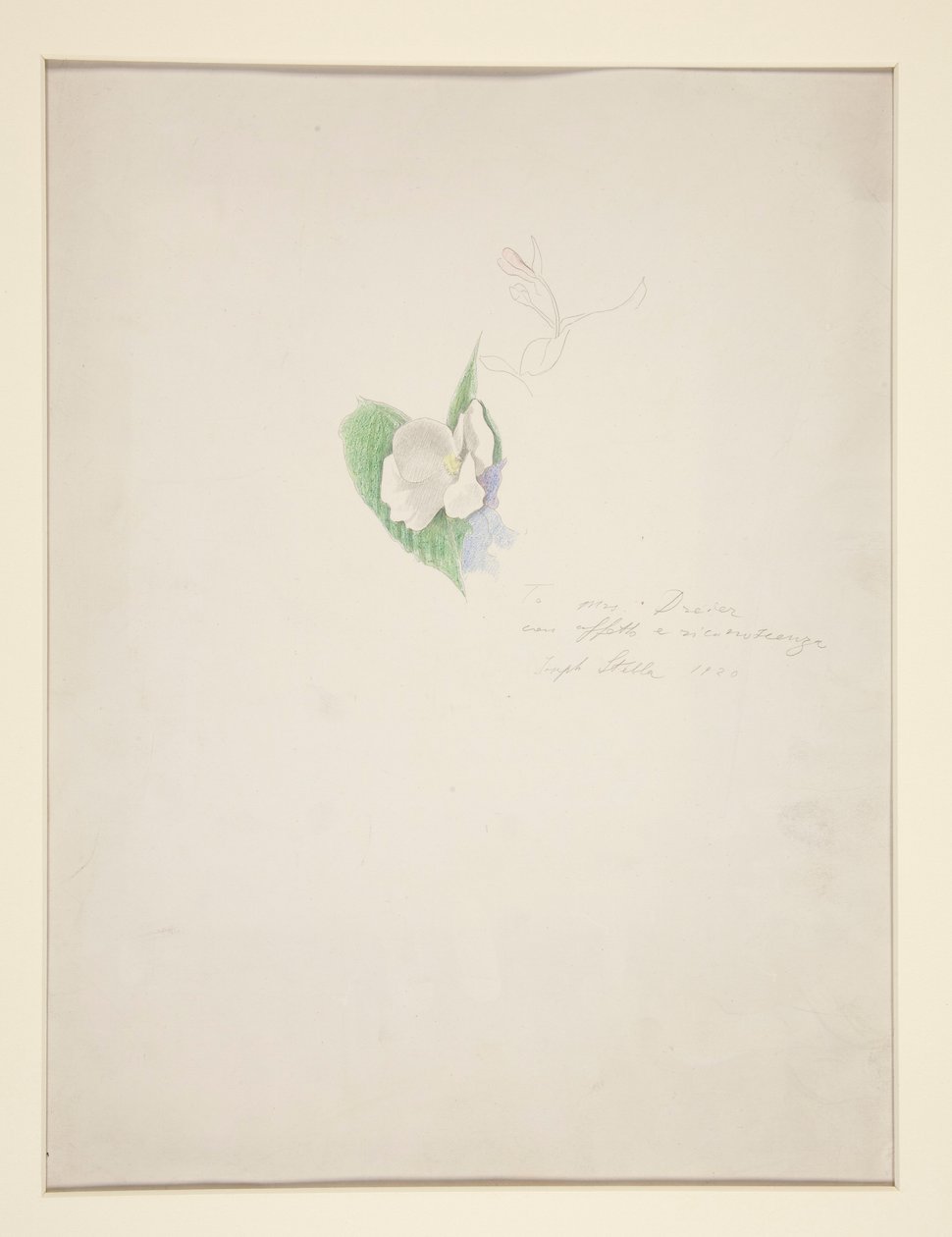 Virág alkotó: Joseph Stella