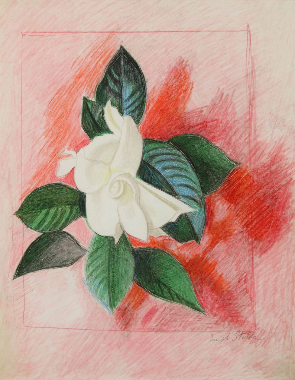Gardenia, 1940 körül (színes ceruza és grafit, papír) alkotó: Joseph Stella