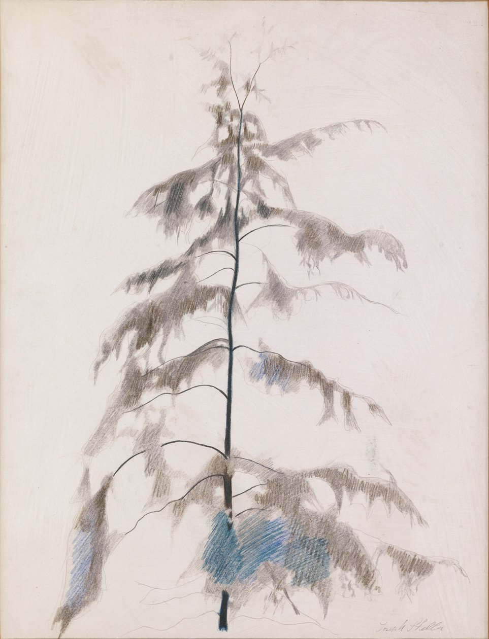 Fenyőfa alkotó: Joseph Stella