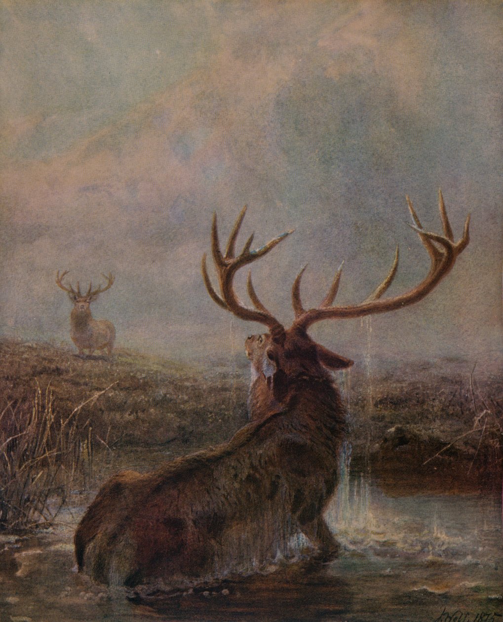 Megszakítva, 1875, 1938 alkotó: Joseph Wolf