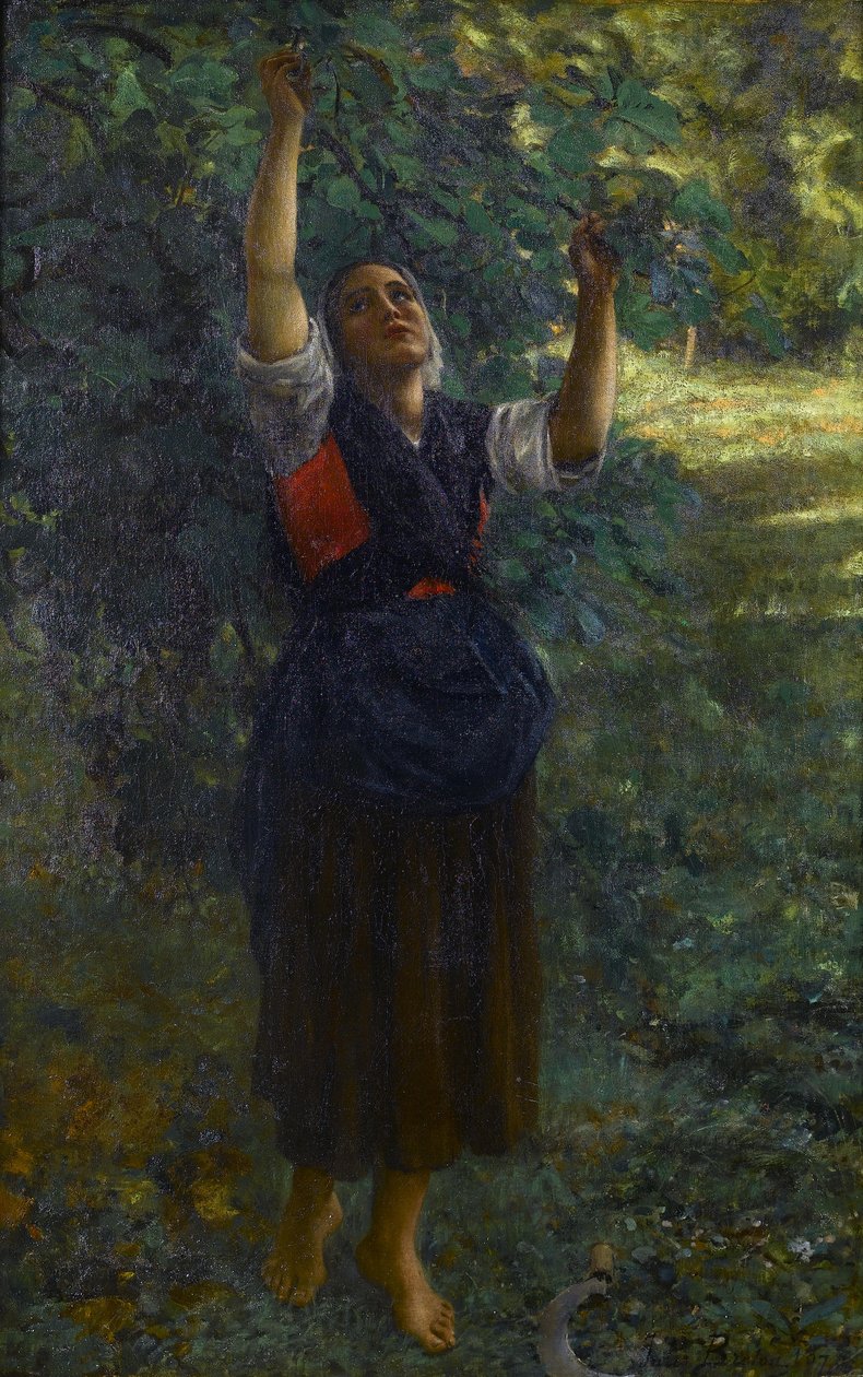 Francia: Cueilleuse de figues alkotó: Jules Breton