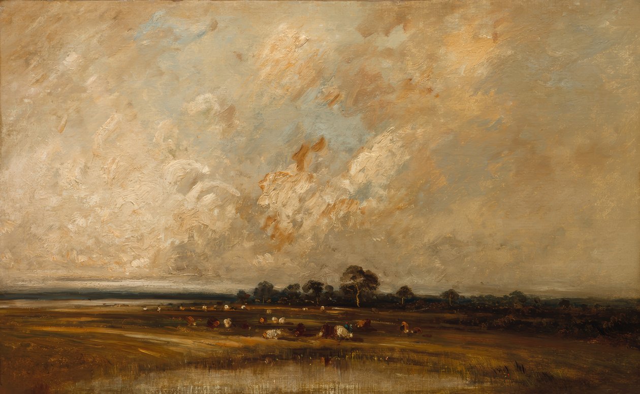 Marshland alkotó: Jules Dupré