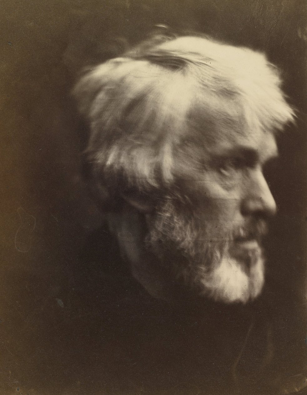 Thomas Carlyle (1795 alkotó: Julia Margaret Cameron