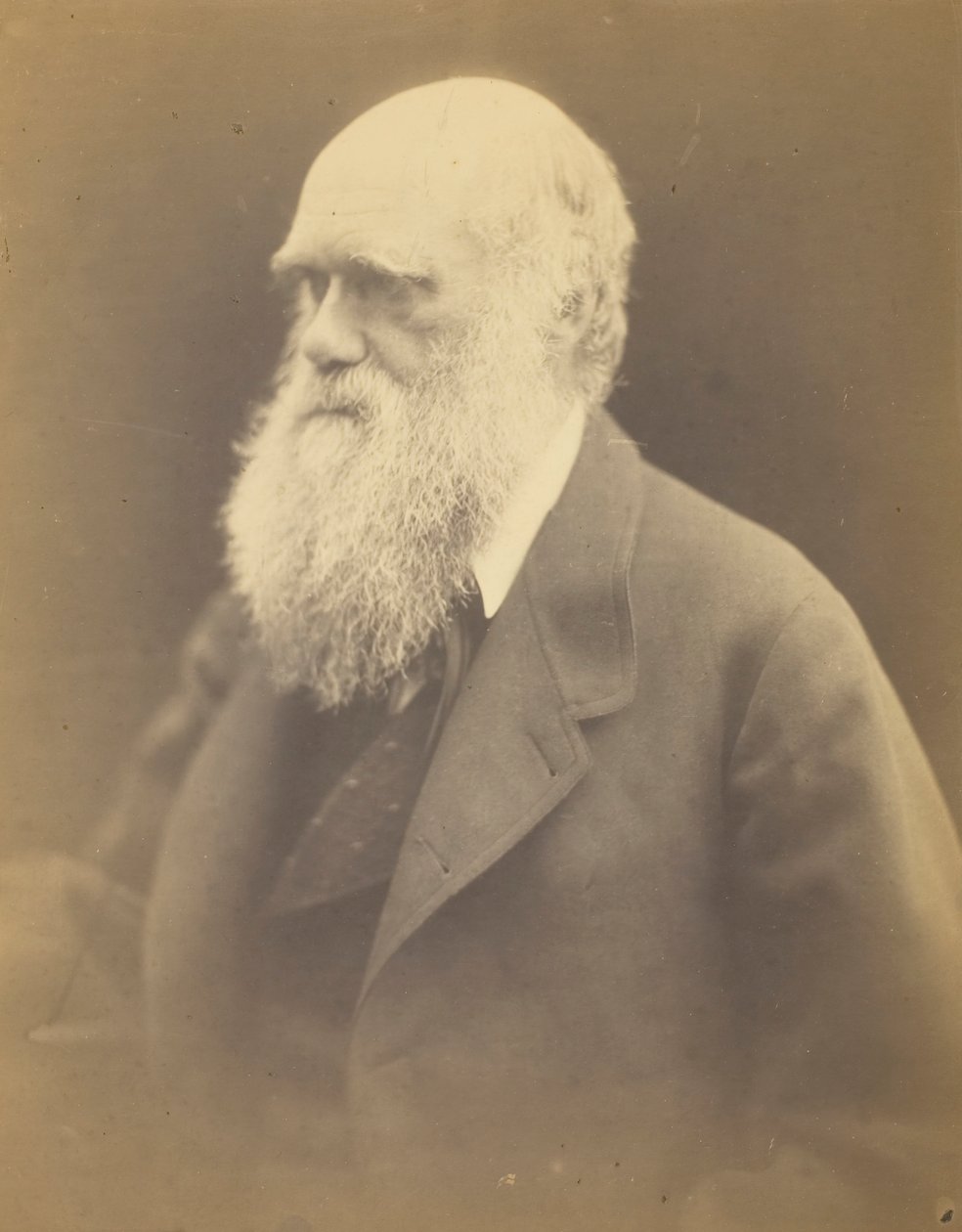 Charles Darwin, 1868. alkotó: Julia Margaret Cameron