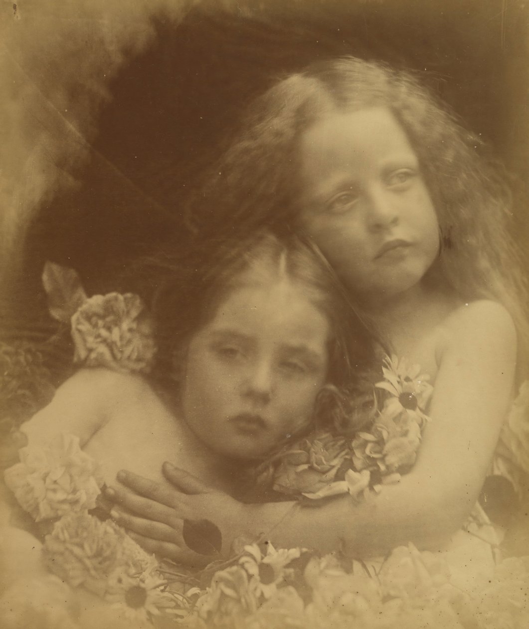 Angol virágok, 1873. alkotó: Julia Margaret Cameron