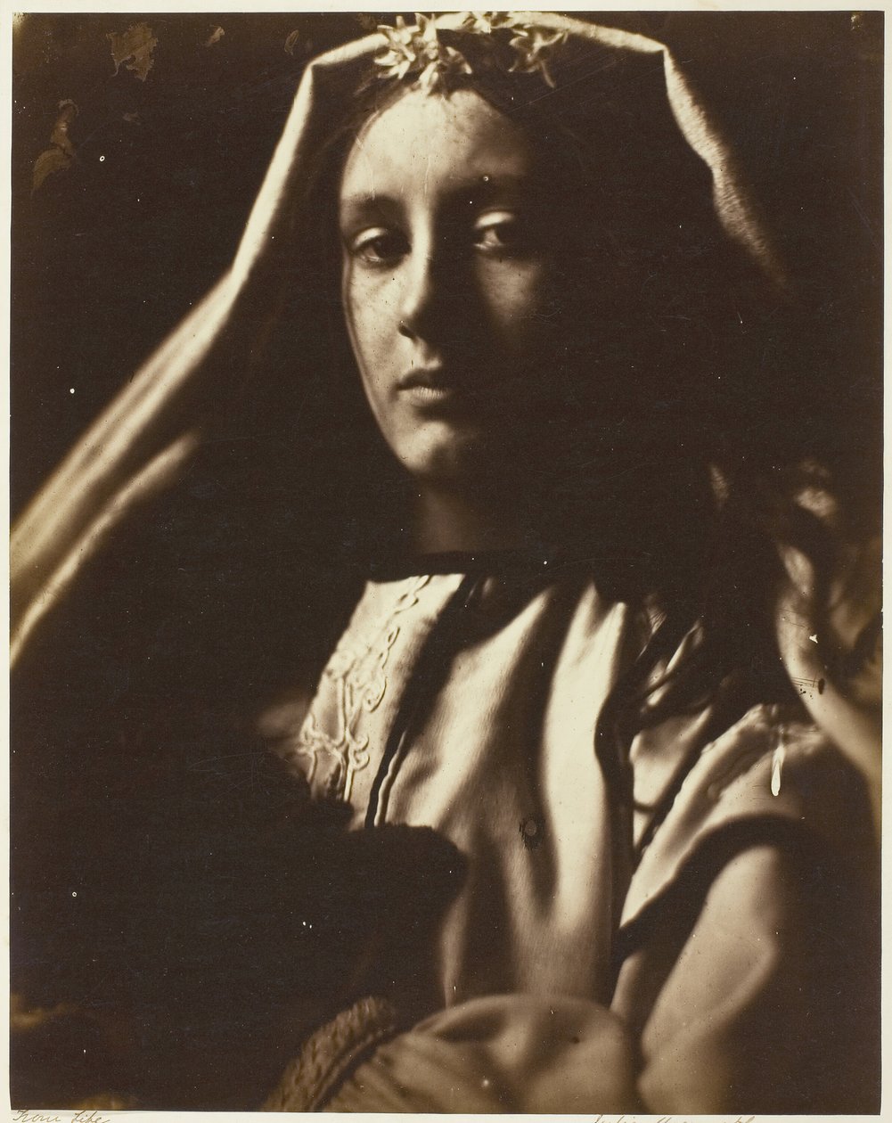 A neopolita, 186465. alkotó: Julia Margaret Cameron