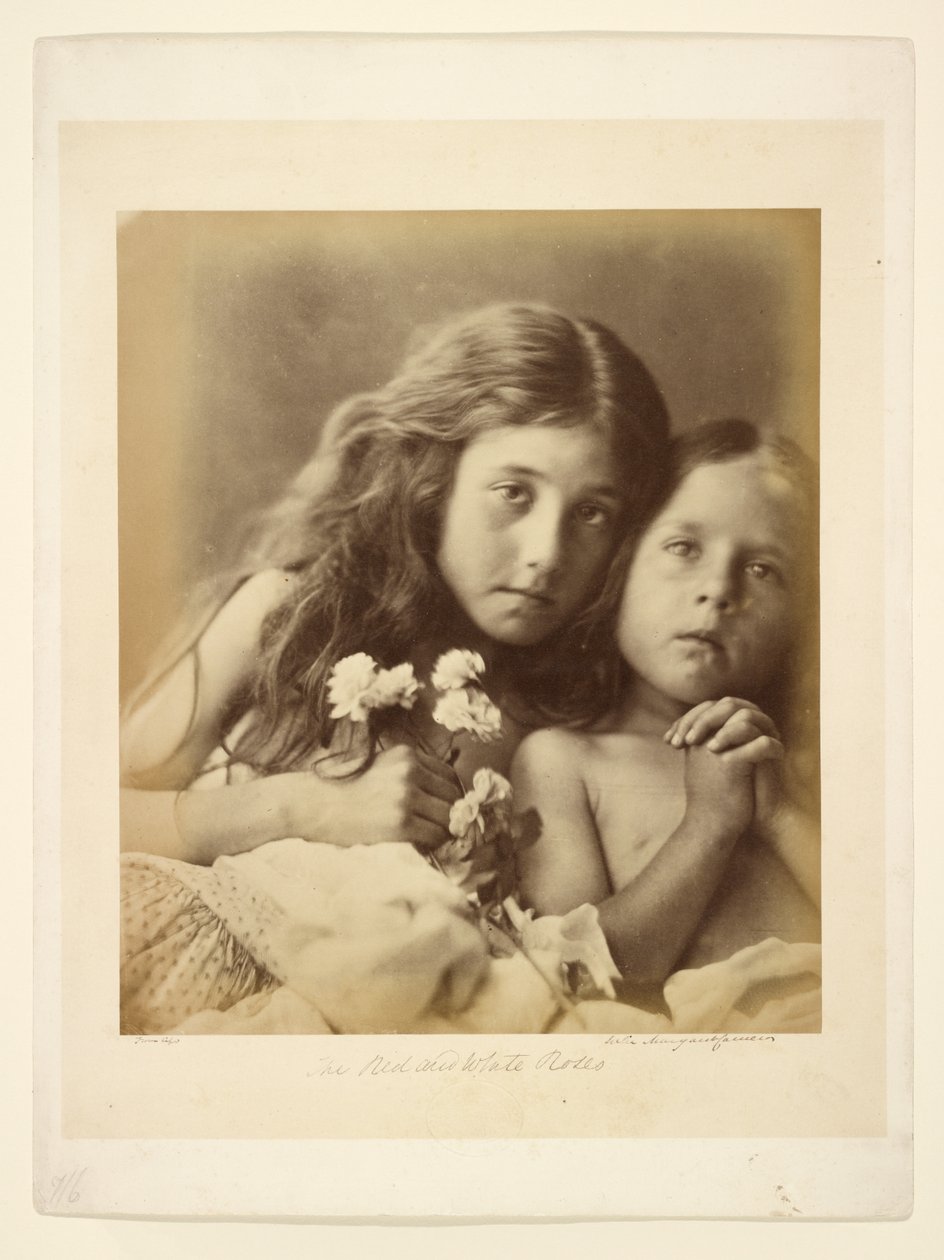 A vörös és fehér rózsák alkotó: Julia Margaret Cameron