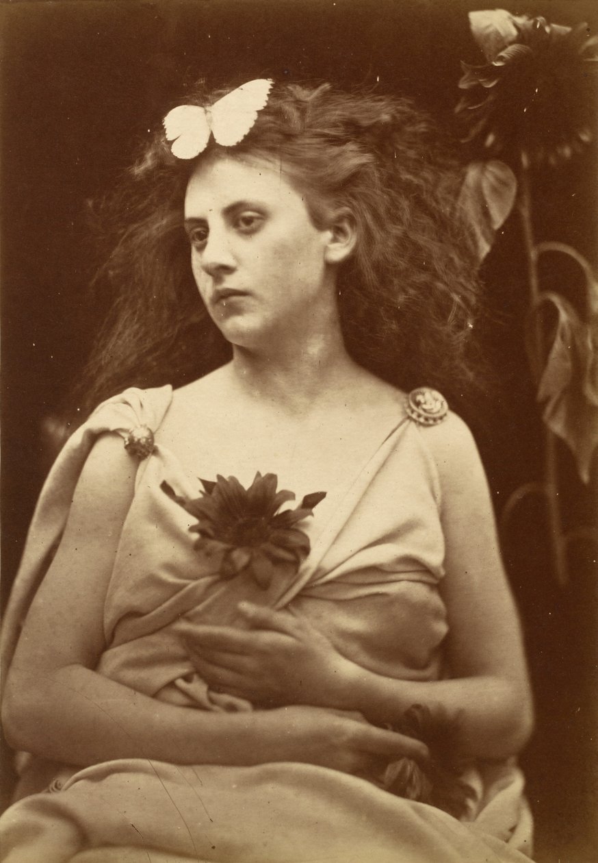 A Napraforgó,1870-es évek eleje (fotó) alkotó: Julia Margaret Cameron