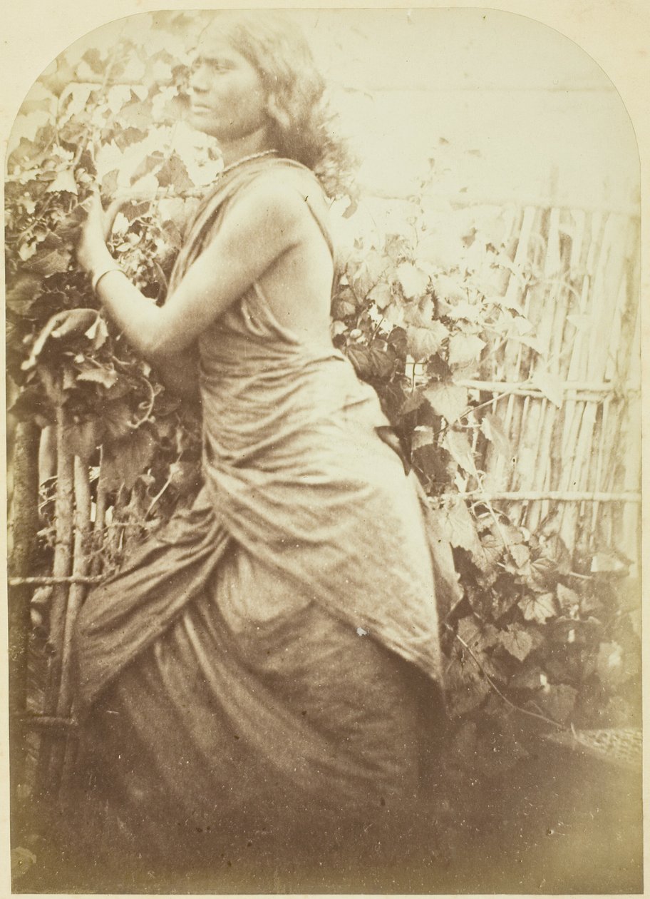 Nő, Ceylon alkotó: Julia Margaret Cameron