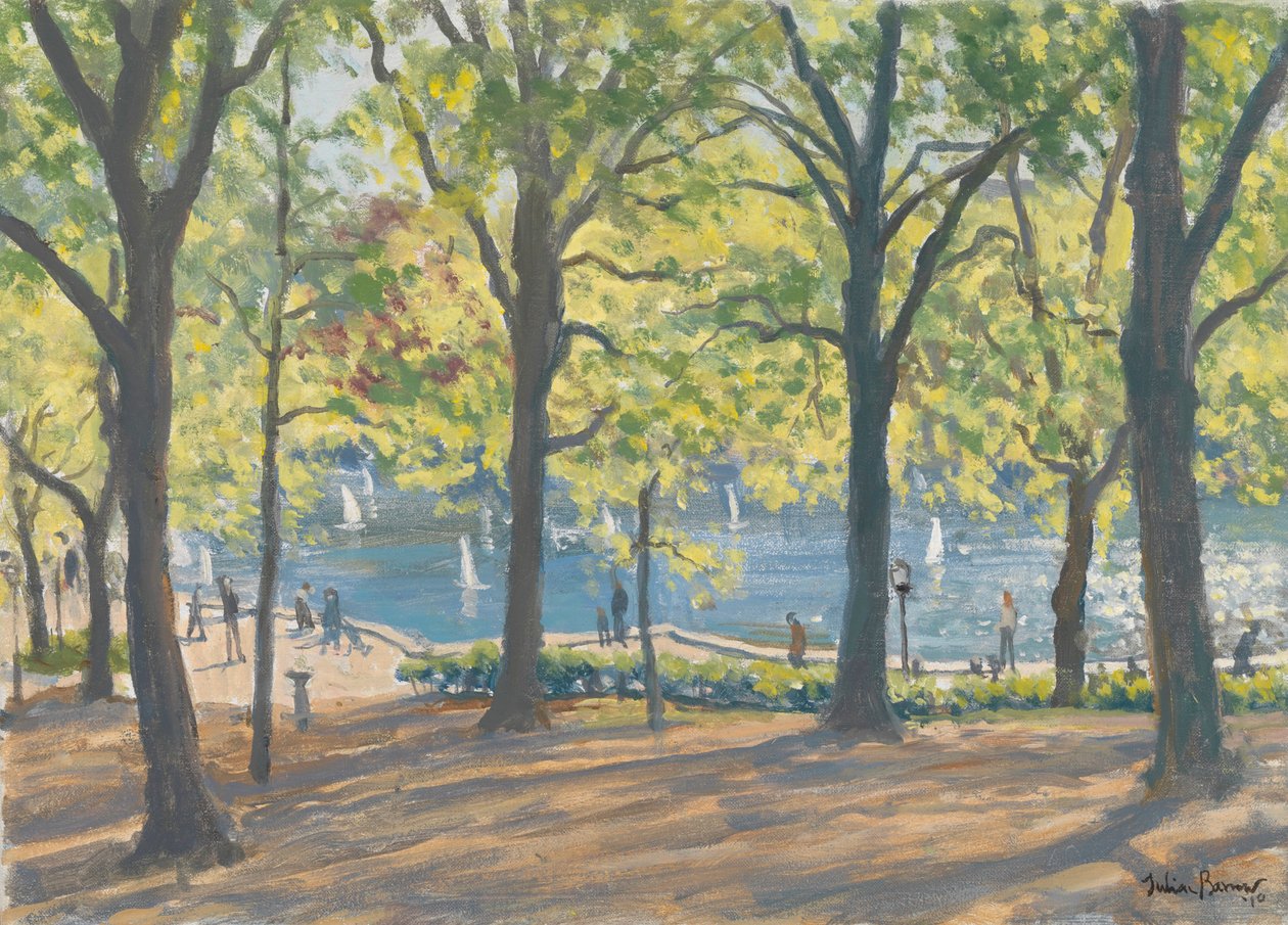 Central Park, New York, 2010 alkotó: Julian Barrow