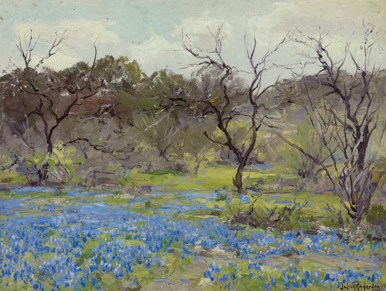 Kora tavasz - Bluebonnets és Mesquite alkotó: Julian Onderdonk
