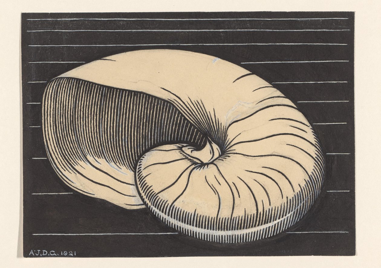 Nautilusschelp alkotó: Julie de Graag (signed by artist)