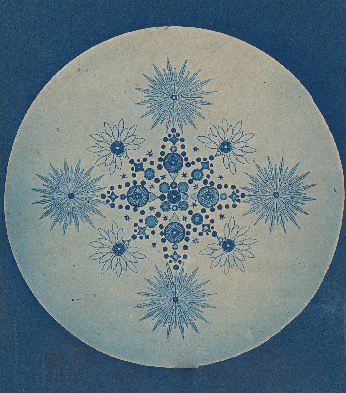 [Diatoms frustules], kb. 1870. alkotó: Julius Wiesner.