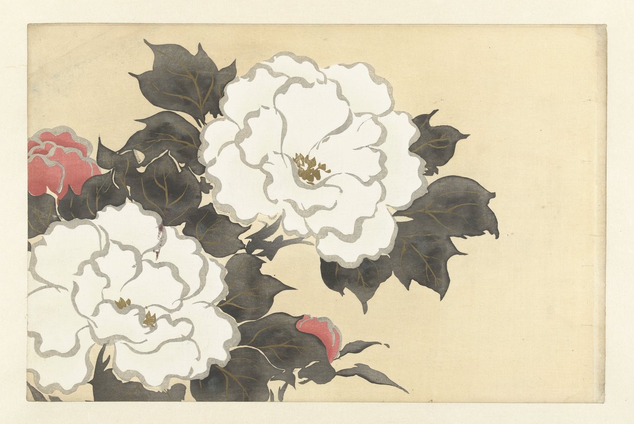 Pünkösdi rózsa, 1909 (fanyomat) alkotó: Kamisaka Sekka