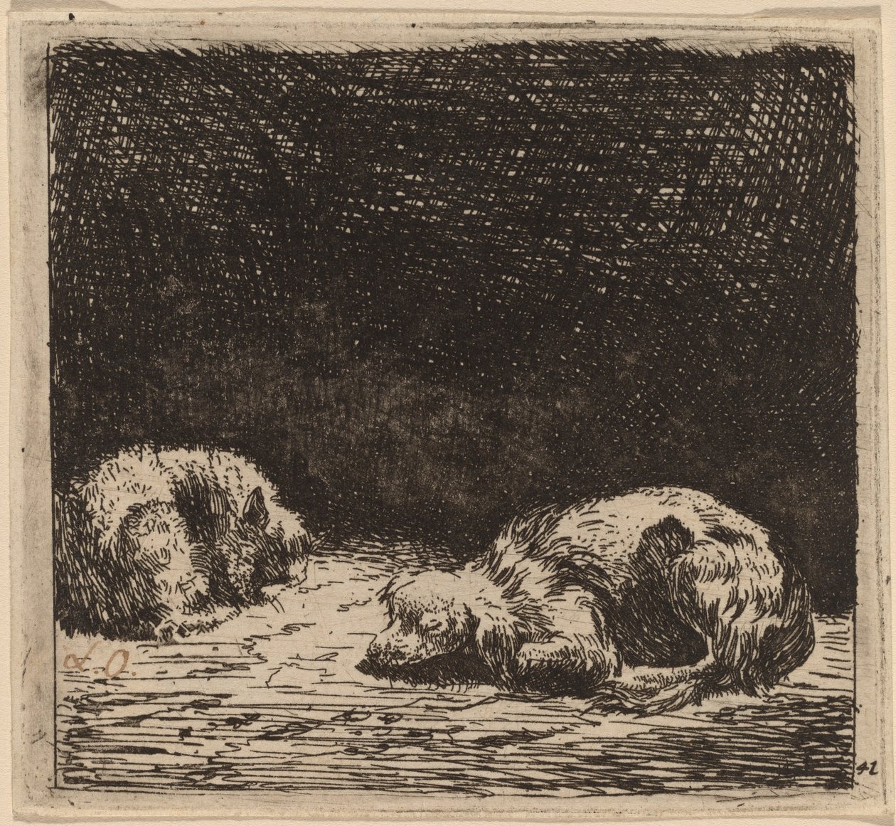 Kutya és macska alkotó: Karel Dujardin