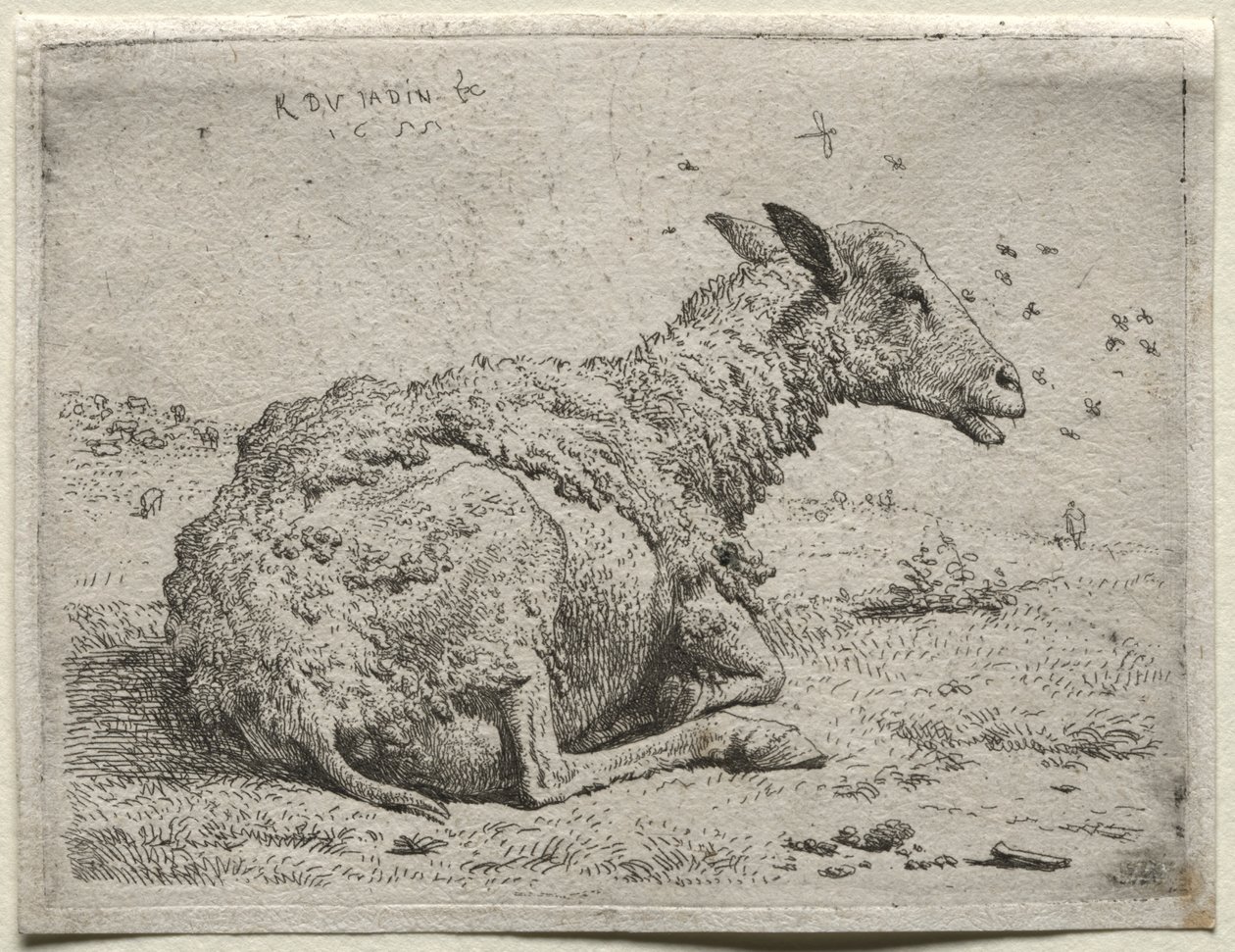 A juhok és a legyek alkotó: Karel Dujardin