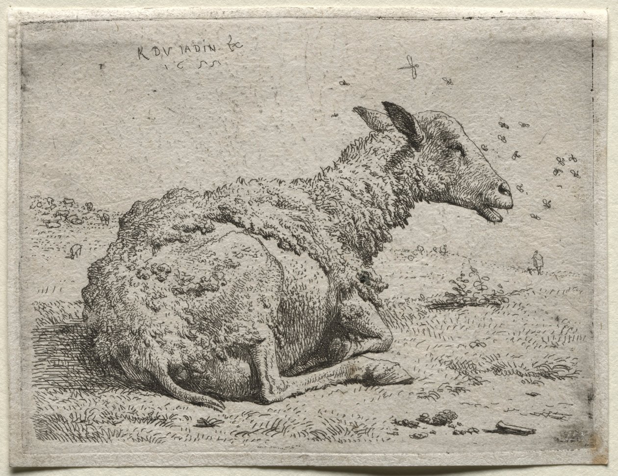 A juhok és a legyek. alkotó: Karel Dujardin