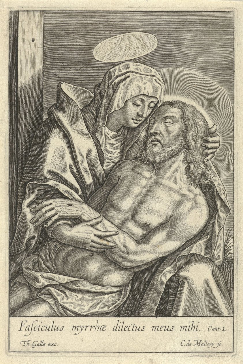 Pieta alkotó: Karel van Mallery