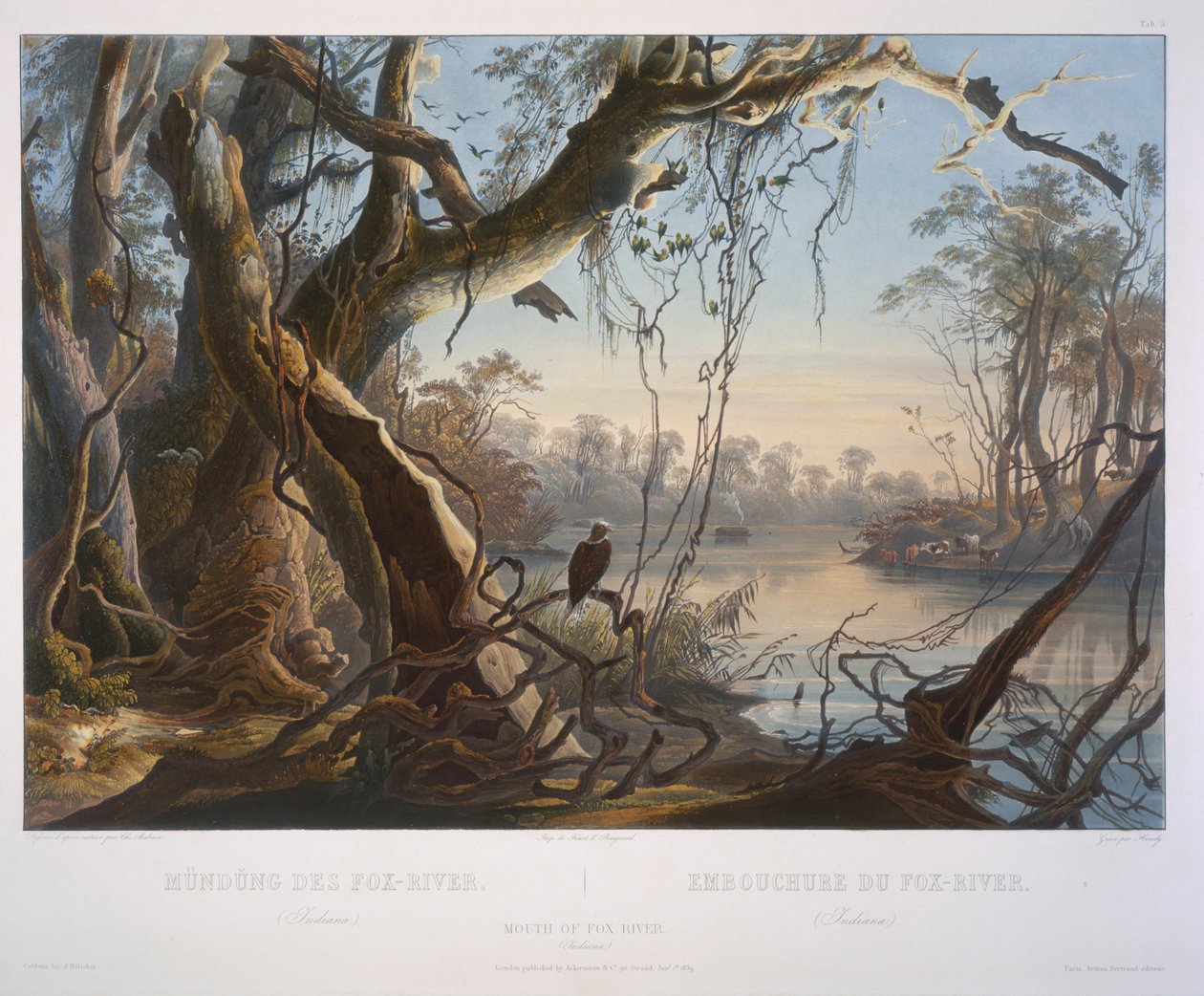 A Fox River torkolata (Indiana) alkotó: Karl Bodmer