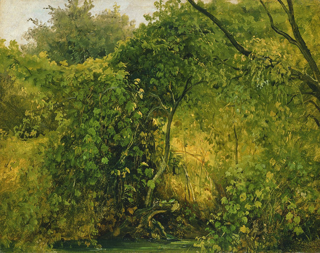 Bokrok Pillnitzben, 1818-28 körül (olaj, papír) alkotó: Karl Gustav Carus