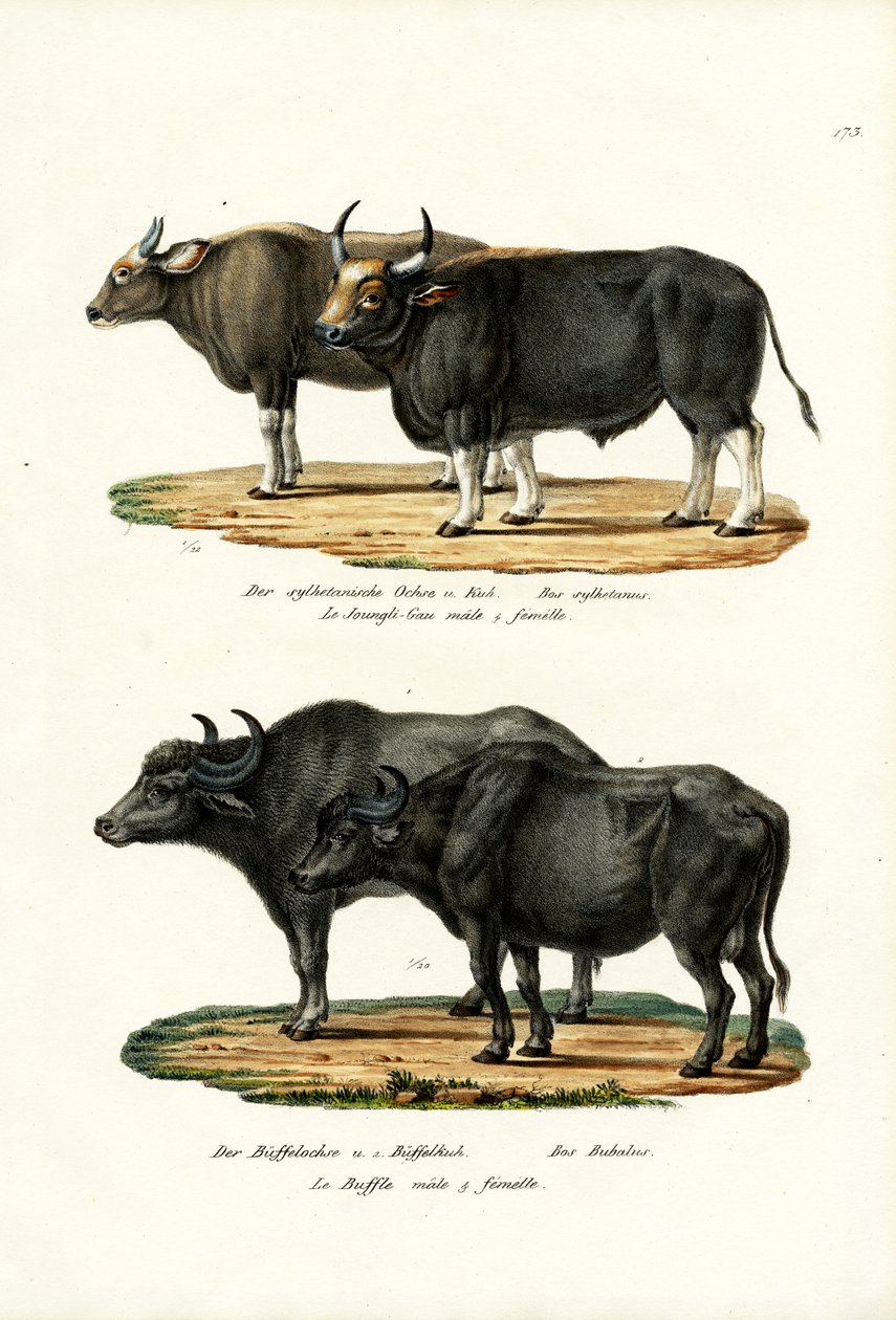 Ma, 1824 alkotó: Karl Joseph Brodtmann